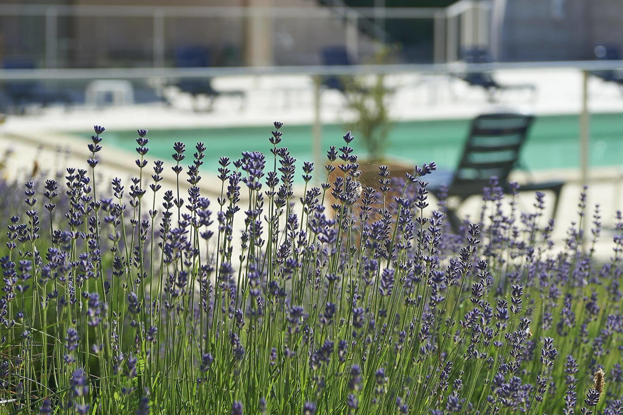 Cit'Hotel Les Alizes Limoges Eksteriør bilde